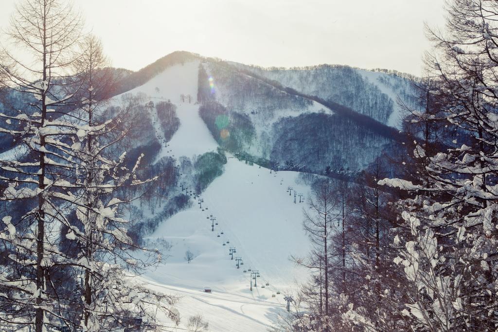 Hotel Snowball Chalet At Madarao Mountain Iiyama Exteriér fotografie